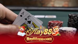 Típ chơi Blackjack như cao thủ
